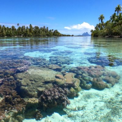 jardin du corail tahaa zwei wollen meer motu tau tau