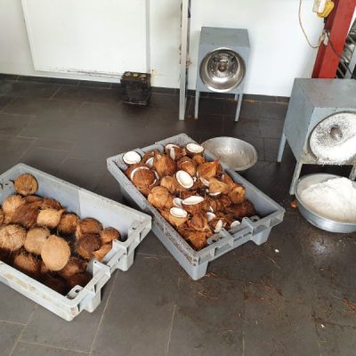 zwei wollen meer kokosnüsse kokosmilch produktion