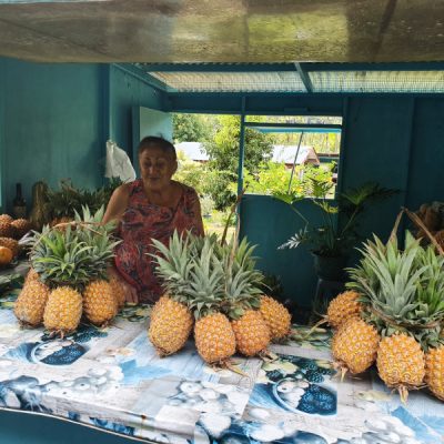 raiatea ananas stand verkauf zwei wollen meer südsee