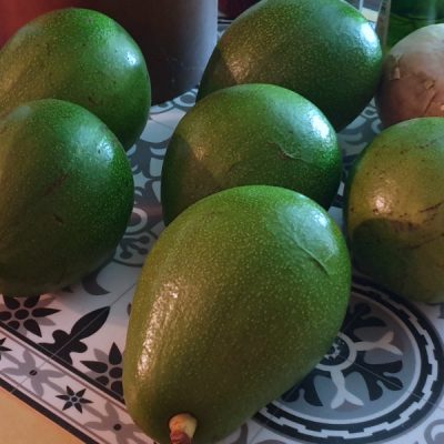 raiatea zwei wollen meer südsee avocados