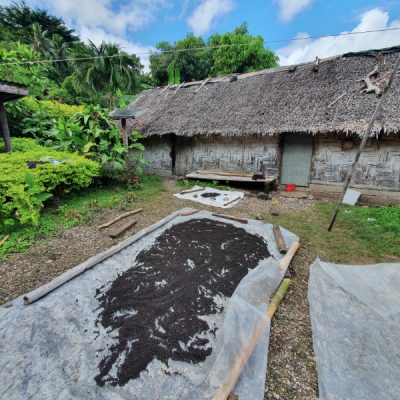 zwei wollen meer reiseblog segeln pazifik weltreise vanuatu malekula malua pfeffer trocknen