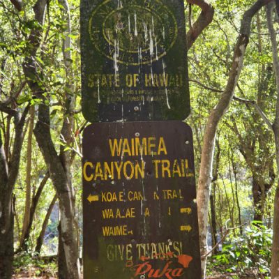 zwei wollen meer reiseblog segeln pazifik hawaii kauai waimea canyon lonomea camping