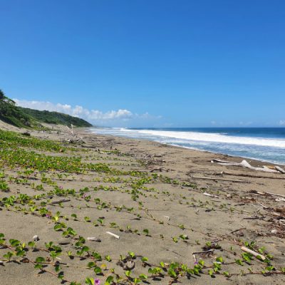 zwei wollen meer reiseblog segeln pazifik fiji sanddünen nationalpark sigatoka