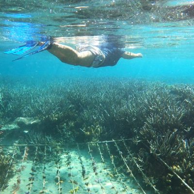 zwei wollen meer reiseblog segeln pazifik fiji yasawa drawaqa passage riff schnorcheln barefoot manta resort korallen kindergarten seile