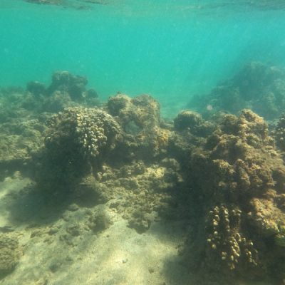 zwei wollen meer reiseblog segeln pazifik hawaii kauai korallen