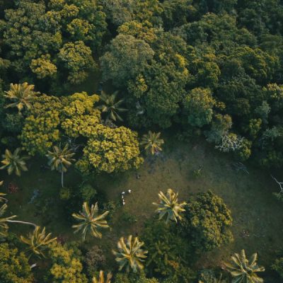 zwei wollen meer reiseblog segeln pazifik fiji weltreise bay of islands vanua balavu farm bavatu harbour weiden grün palmen
