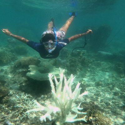 zwei wollen meer reiseblog segeln pazifik fiji vanua levu viani bucht schnorcheln korallenbleiche bunte korallen