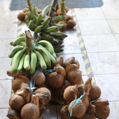 Kokosnüsse auf dem Markt
