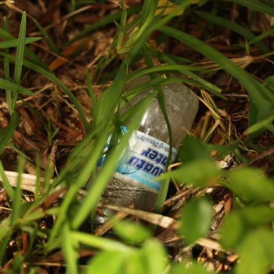 Plastikmüll im Amal-Krab Bay Schutzgebiet