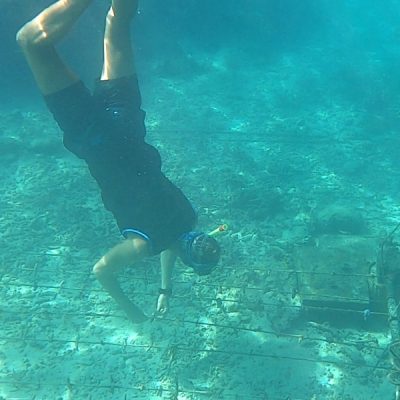 zwei wollen meer reiseblog segeln pazifik fiji yasawa drawaqa passage riff schnorcheln barefoot manta resort korallen garten