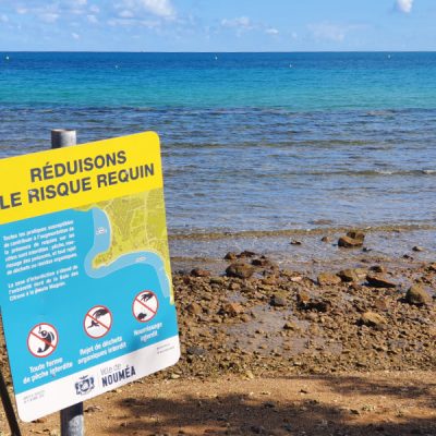 Rund um Nouméa wird vor Haien gewarnt