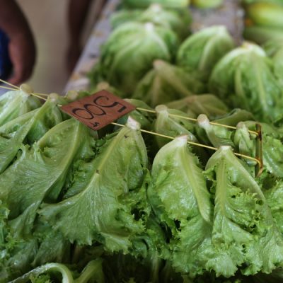 zwei wollen meer reiseblog segeln pazifik weltreise vanuatu efate port vila markt salate