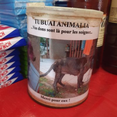 tierarzt spende kastration hunde zwei wollen meer tubuai