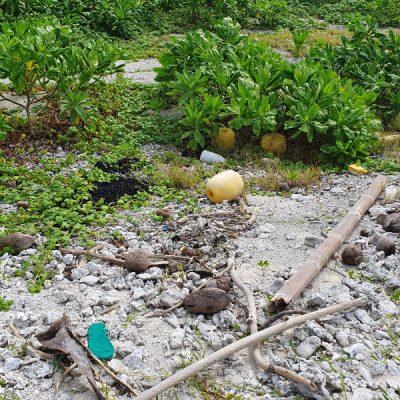 zwei wollen meer segeln pazifik weltreise fiji fidschi reiseblog wailagilala atoll müll