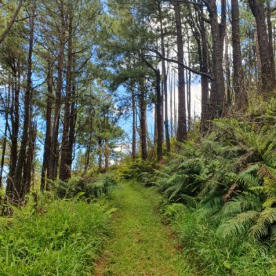 wandern zwei wollen meer tubuai