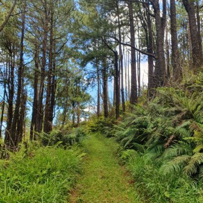 wandern zwei wollen meer tubuai