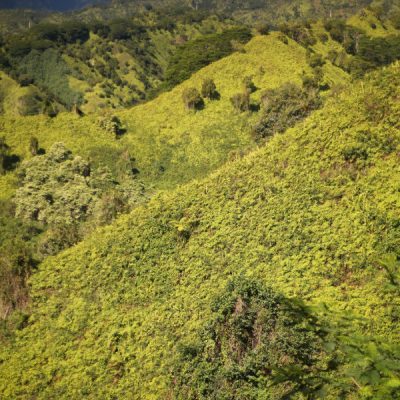zwei wollen meer reiseblog segeln pazifik hawaii kauai grün wälder